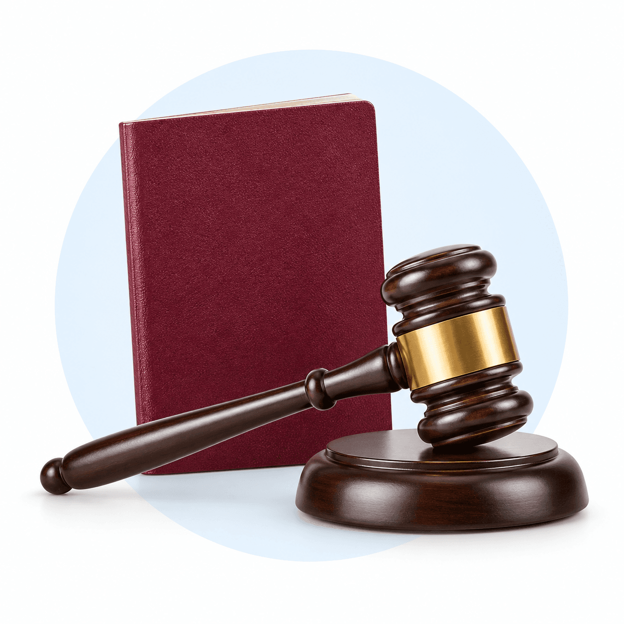Immigration Attorneys